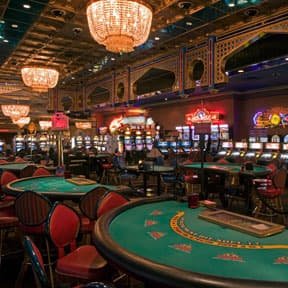 gengtoto login Dragon Tiger live-dealer game on mobile showing real dealer and live feed